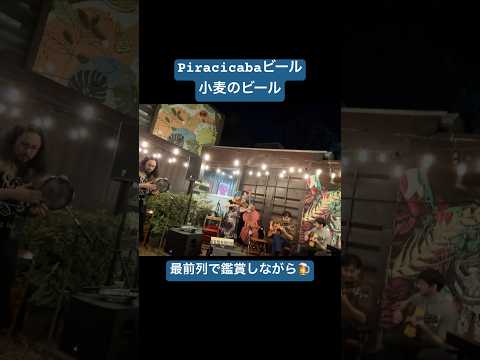 こども文化学科 #brasil #ブラジル #piracicaba #festivaldejazzmanouche #gypsyjazz #ジプシージャズ #MASHSTRINGS #MASH弦楽団