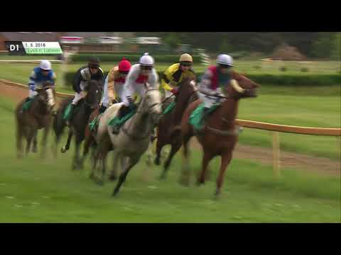 LL, 1. 5. 2018, 1. dostih - PROUTĚNÉ PŘEKÁŽKY NUTRIHORSE