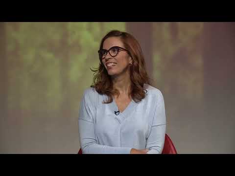 8th Roots Meeting - Guest Room