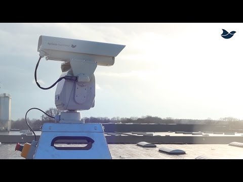 Deterring birds from roofs using laser technology