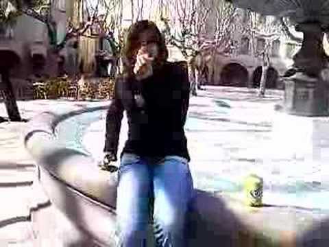 attrapage de pigeons