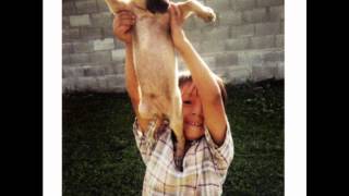 Twothirtyeight - Beautiful disease