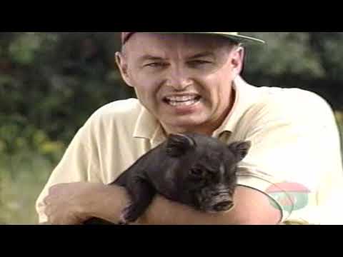 Ants In Your Pants - Around The Treehouse In 80 Days