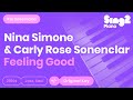 Carly Rose Sonenclar - Feeling Good (Piano Karaoke)