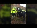 Verdachte meerdere malen gestompt door agent bij hardhandige aanhouding