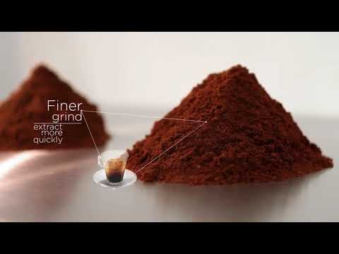 NESCAFÉ® Dolce Gusto® System Presentation Courts