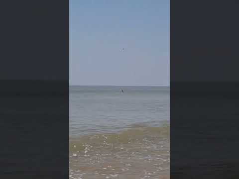 Aksa Beach Mumbai #aksabeach #mumbai #beach #beachlife #beaches #ocean