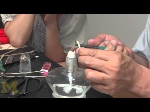 Chinese Kites come to U-M campus