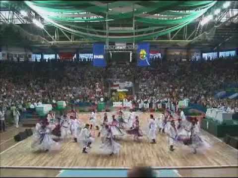 CTG ALDEIA DOS ANJOS - ENART 2009 - CAMPEÃO - ENTRADA