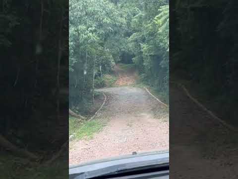 JARDIM BOTÂNICO RIO DO SUL #cavalo #automobile #pecuarista #agro #agroemfocotvdigital #fazenda