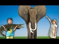 largest land animals for kids educational wild animal video for kids by atrin and soren