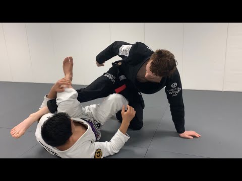 The Under-Hook De La Riva Guide (Andy Murasaki)