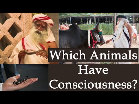 Which Animals Have Consciousness? - Sadhguru