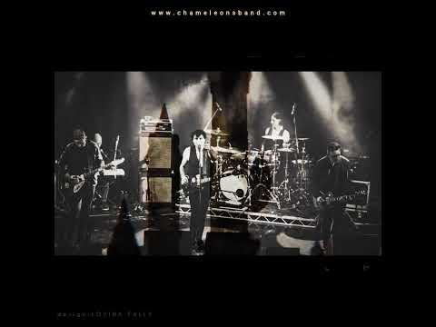 Chameleons: Saviours Are A Dangerous Thing