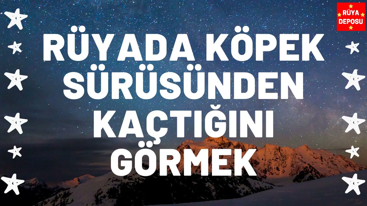 Rüyada Köpek Sürüsünden Kaçtığını Görmek - Rüya Tabiri - [Rüya Deposu]