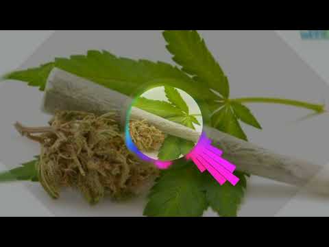 Doxem Rap x Namek - (MALAWAN JALUR)