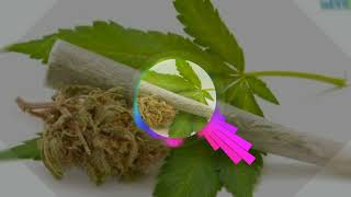 Download lagu Doxem Rap x Namek - (MALAWAN JALUR) mp3