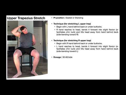 TherEx | Upper Trapezius Stretch
