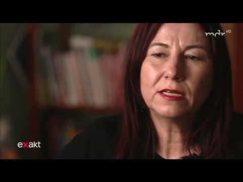 Exakt EU subventioniert Bordell 05 04 2017