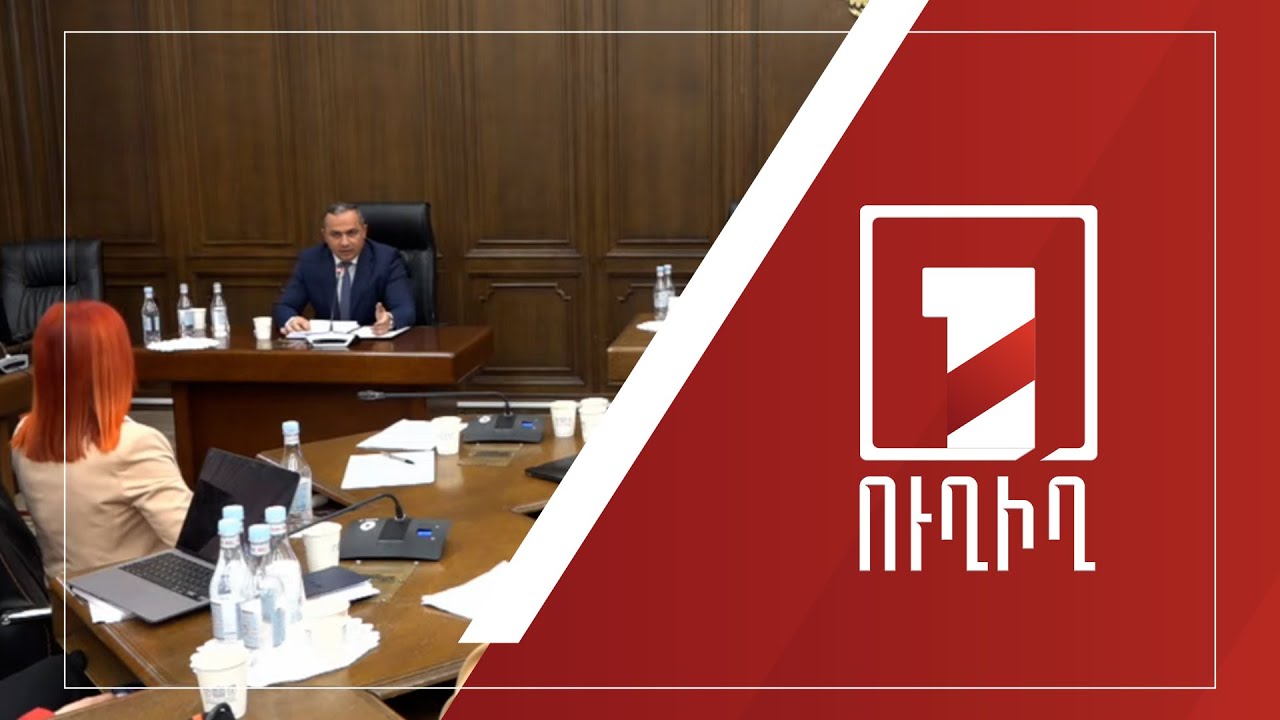 2024-ի պետբյուջեի կատարողականը՝ ԱԺ մշտական հանձնաժողովների համատեղ նիստում | ՈՒՂԻՂ