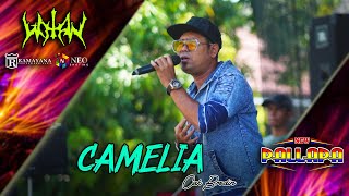 Download lagu CAMELIA - Cak Brodin - New Pallapa Live Wotan - Ramayana Profesional Audio mp3