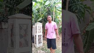 Download lagu Mau ketawa takut dosa video lucu bikin ngakak hiburan warga 62 😅😂🤣 #funny #comedy #trending mp3