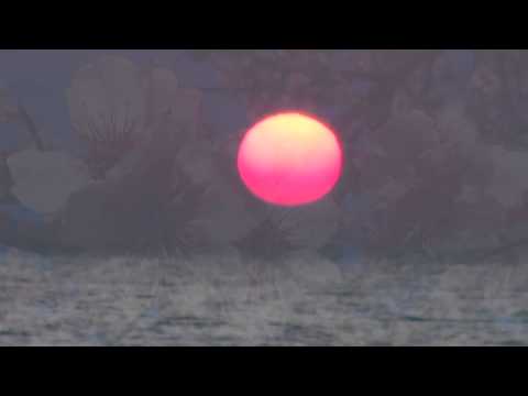 The Olympians - Istoria (Ιστορία)