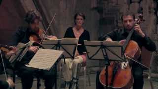Noseland: The Movie - TRAILER