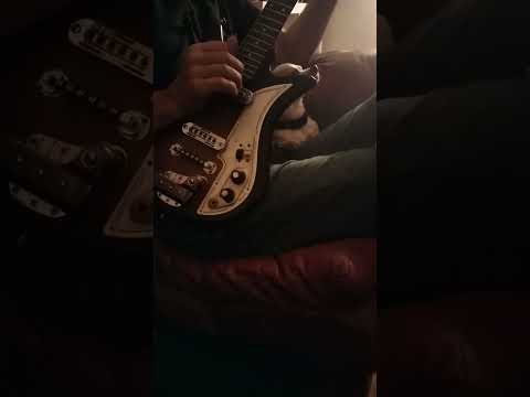 porky does Tom Petty. #Chihuahua #tompetty #singingdog #cutedog