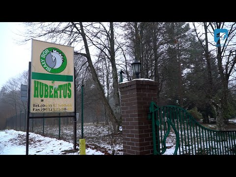 Hubertus idzie do remontu