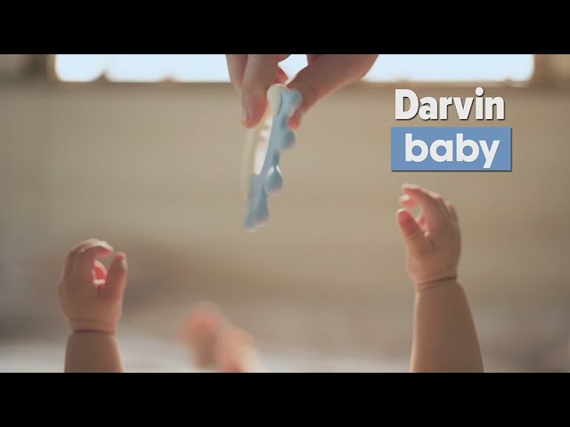 Darvin Baby – 2024