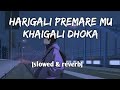 Harigali Premare Mu Slowed Reverb Humane Sagar Lofi Song Harigali Premare Mu Odia Song