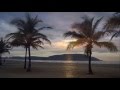 Michael Franks - Jardin Botanico