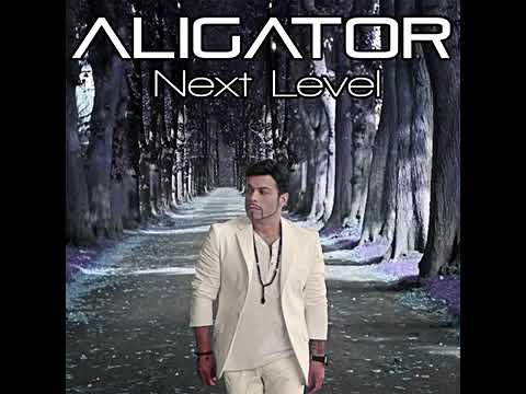 DJ ALIGATOR-The Sound of Persia