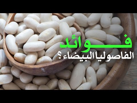 ما هي فوائد الفاصوليا البيضاء ؟