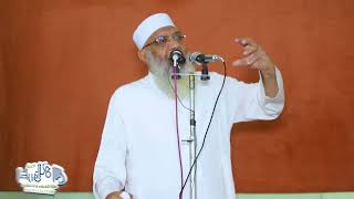 6 سليمان والخيل والريح | الشيخ شوقي عبد الصادق image