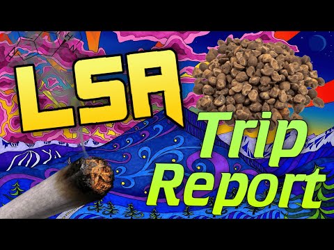 LSA Trip Report | MOST INTENSE TRIP OF MY LIFE