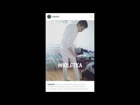 BEKA KSH - WIOLETKA