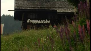 preview picture of video 'Knappastoba in Silbertal im Montafon'