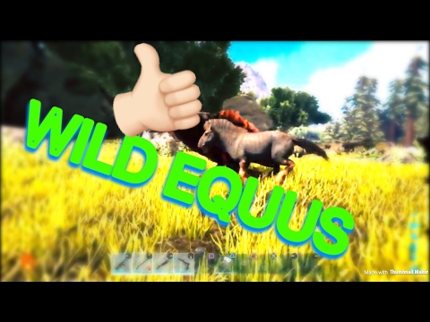 ARK: Survival Evolved - 😍WILD EQUUS😍...FIRST SIGHTING!