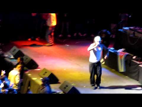 LOS ALDEANOS EN CHILE - AL2