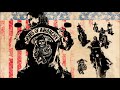 #49 MUSIC WACO BROTHERS - HELLO TO EVERYBODY