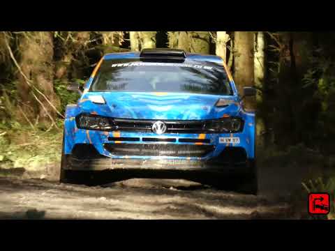 Dogleap Rally 2026 || Stage 3 Action || Springwell Forest