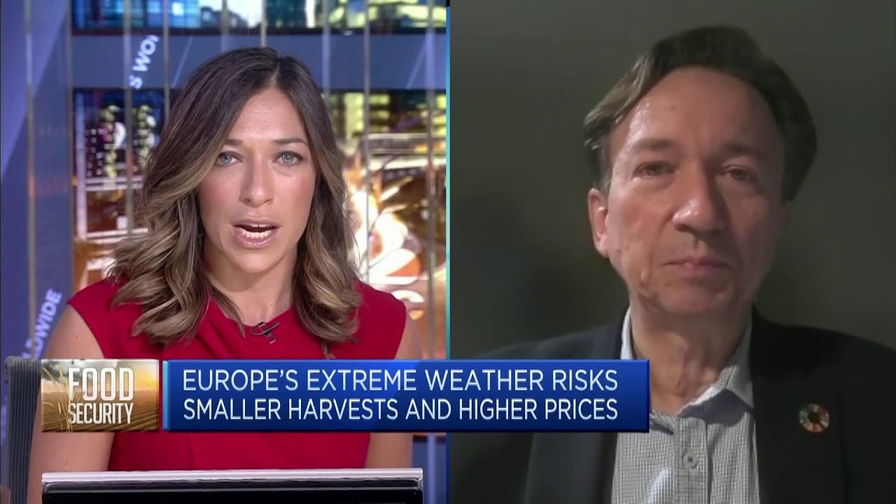 Cultivated meat, algae are up-and-coming alternative proteins in agri-tech sector: EIT Food CEO