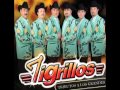 tigrillos - dejate querer