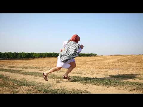 Weekly Shemitah Challenge #2: Next year you won't recognize Moisheleh