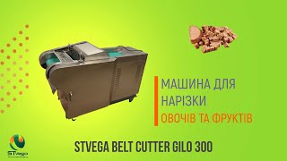 Нарізка слайсами, кубиками кабачкків, огірків, перцю vegetable cutting machine for sale - Image 7 | Machineryline NG New Нарізка слайсами, кубиками кабачкків, огірків, перцю vegetable cutting machine | Image 7 - Machineryline