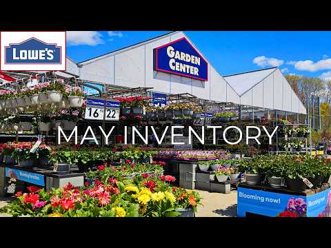 Lowes Annuals