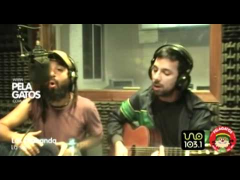 Los Umbanda - Reggae en PelaGatos - La sal