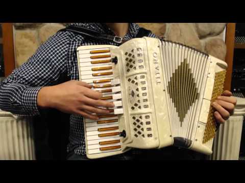 2055 -  Golden Creme Custom Built Titano Titan Piano Accordion LM 41 120 $999